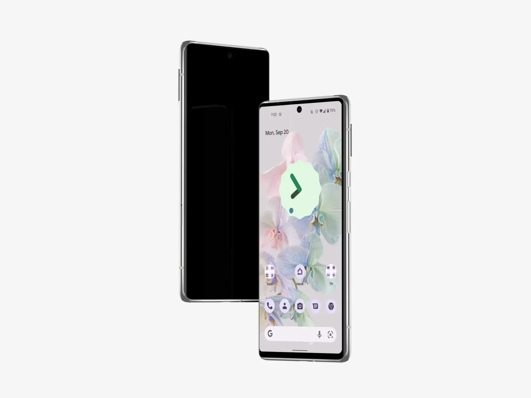 Google Pixel 6 Pro Mockups 10