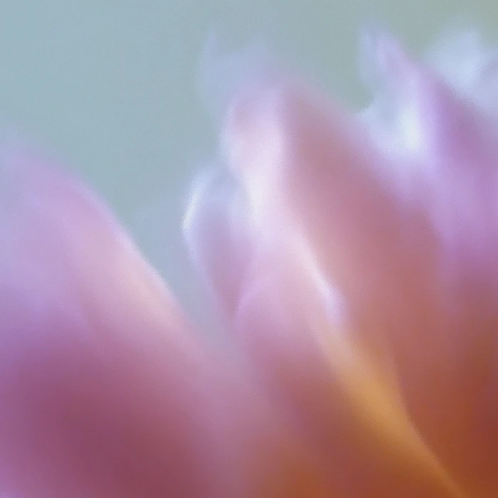 Grainy Blur Abstraction, 22