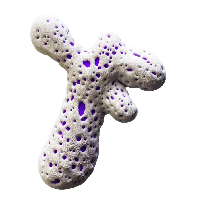 Futeral Abstraction, 16