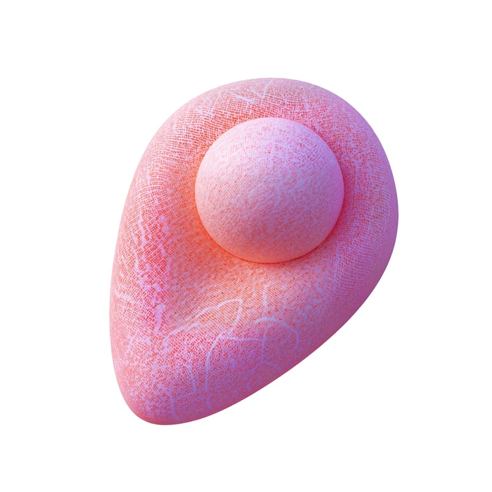 Futeral Abstraction, 48