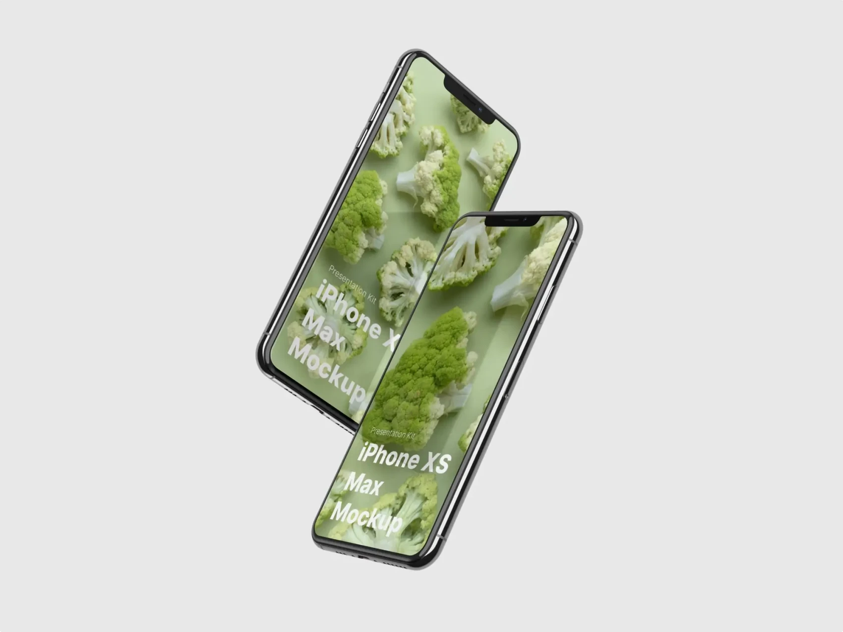 iPhone XS Max Mockups 24
