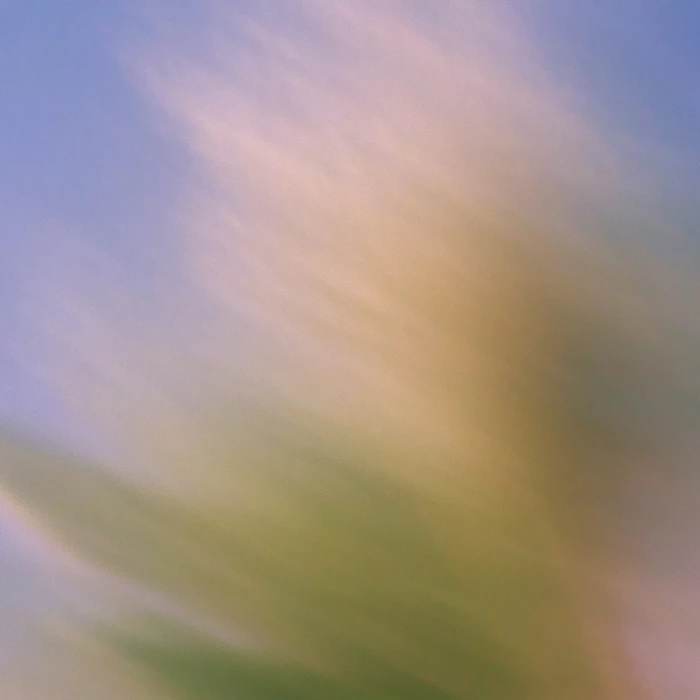 Grainy Blur Abstraction, 25