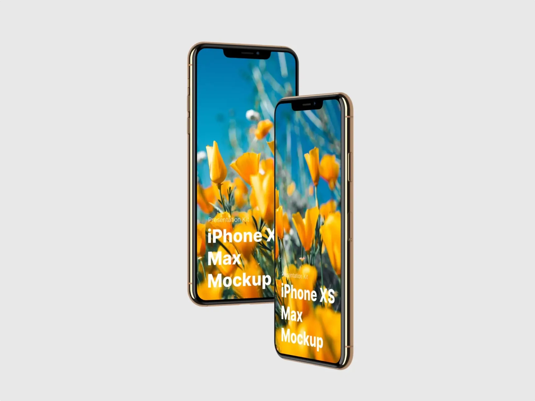 iPhone XS Max Mockups 38