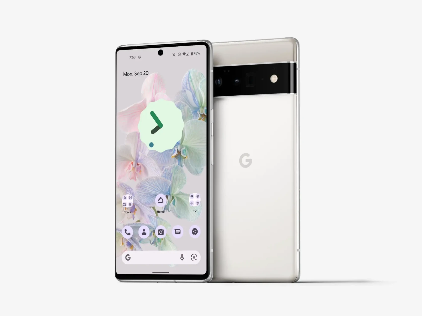 Google Pixel 6 Pro Mockups 19