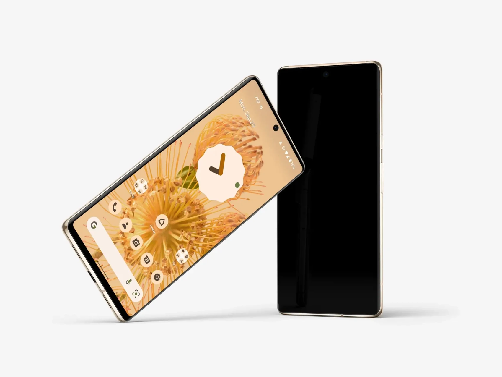 Google Pixel 6 Pro Mockups 48