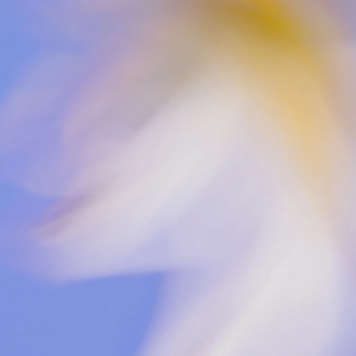 Grainy Blur Abstraction, 5