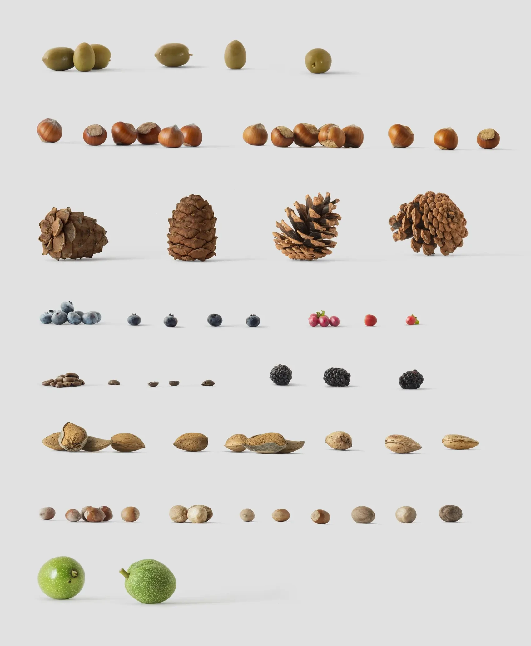 Environment Items 6