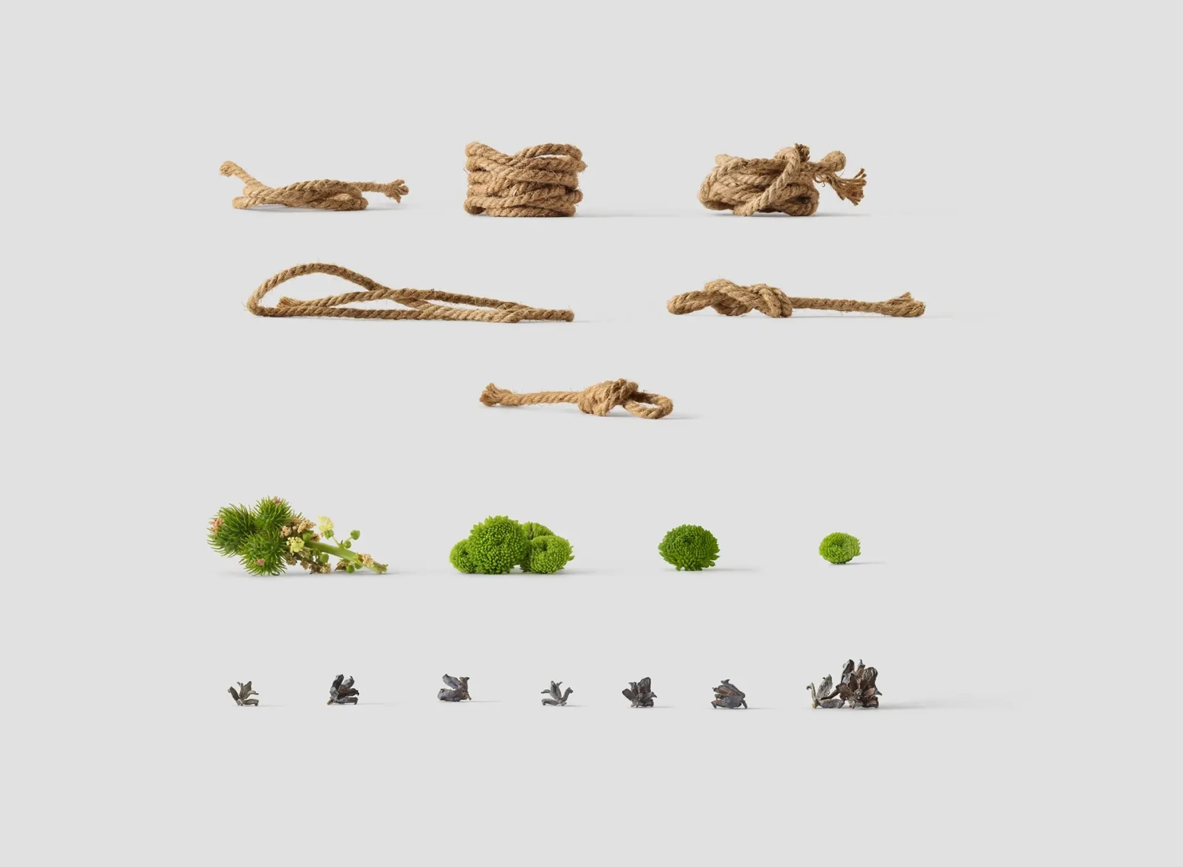 Environment Items 5