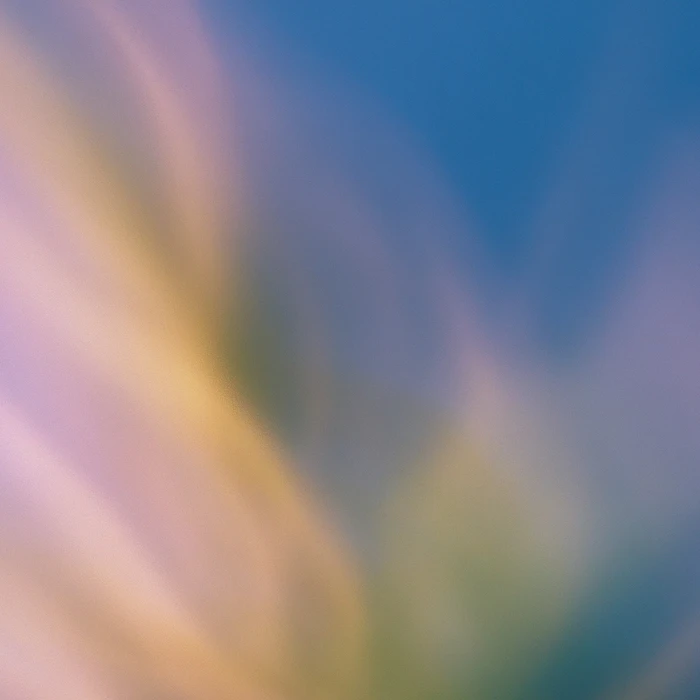 Grainy Blur Abstraction, 27