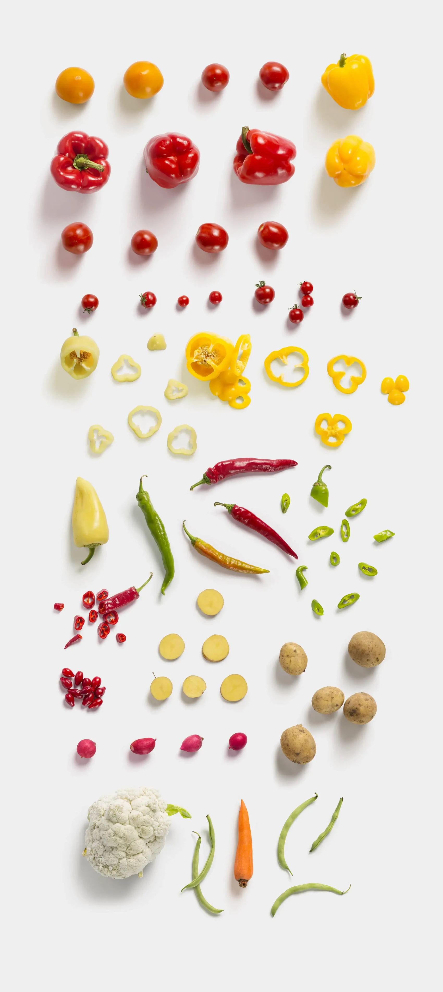 Fruits and Vegetables 11