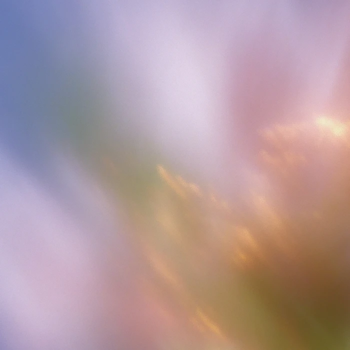 Grainy Blur Abstraction, 29