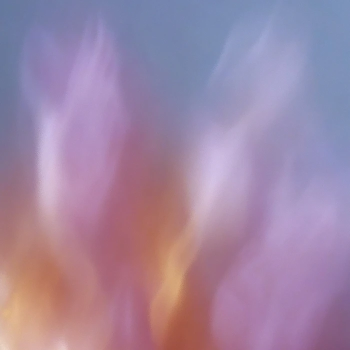 Grainy Blur Abstraction, 19