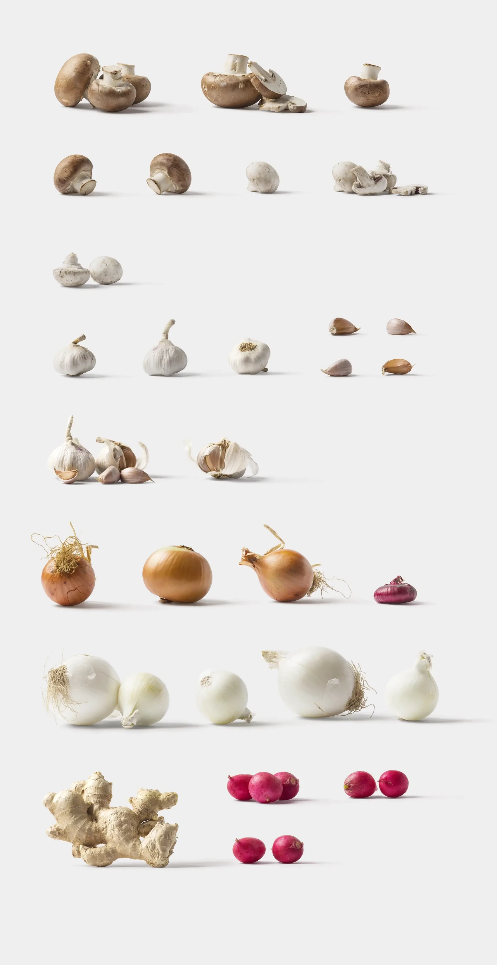 Fruits and Vegetables 6
