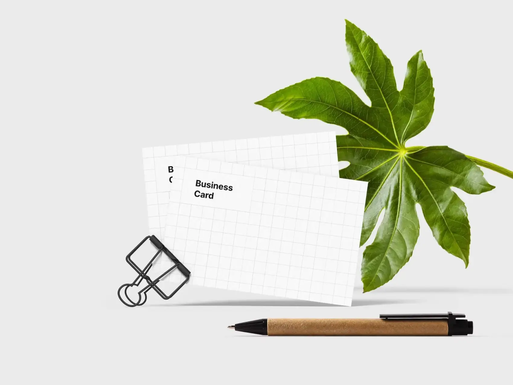 Business Card Mockups 45