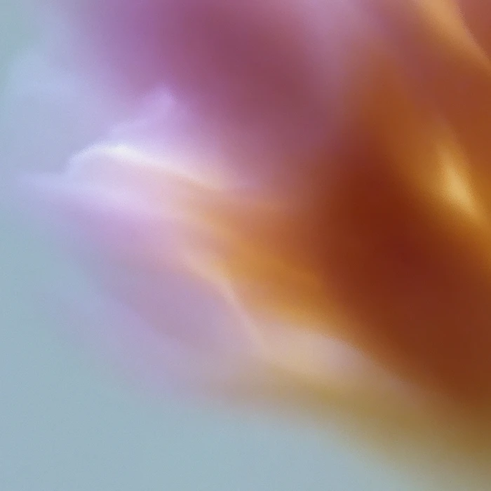 Grainy Blur Abstraction, 21