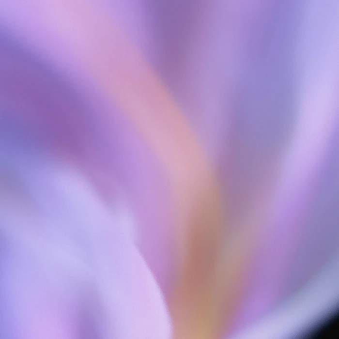 Grainy Blur Abstraction, 55