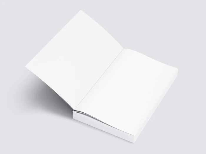Book Mockup, US-Angled, 09