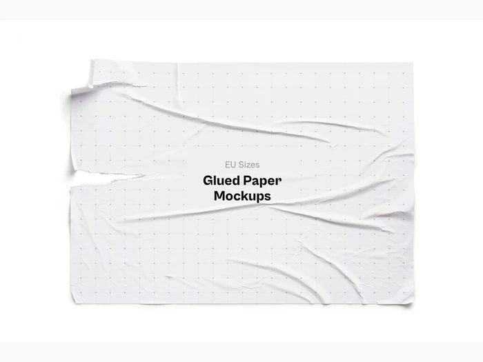 Glued Paper Mockup, EU Glossy, 22