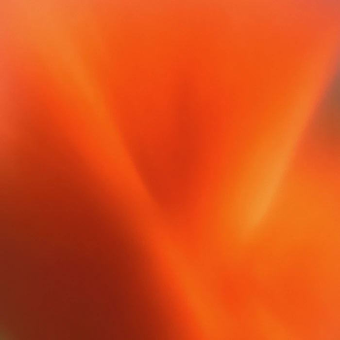 Grainy Blur Abstraction, 39