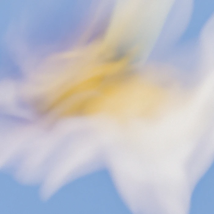 Grainy Blur Abstraction, 4