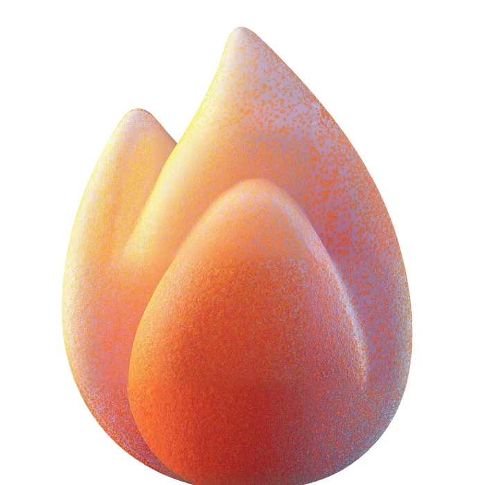 Futeral Abstraction, 39