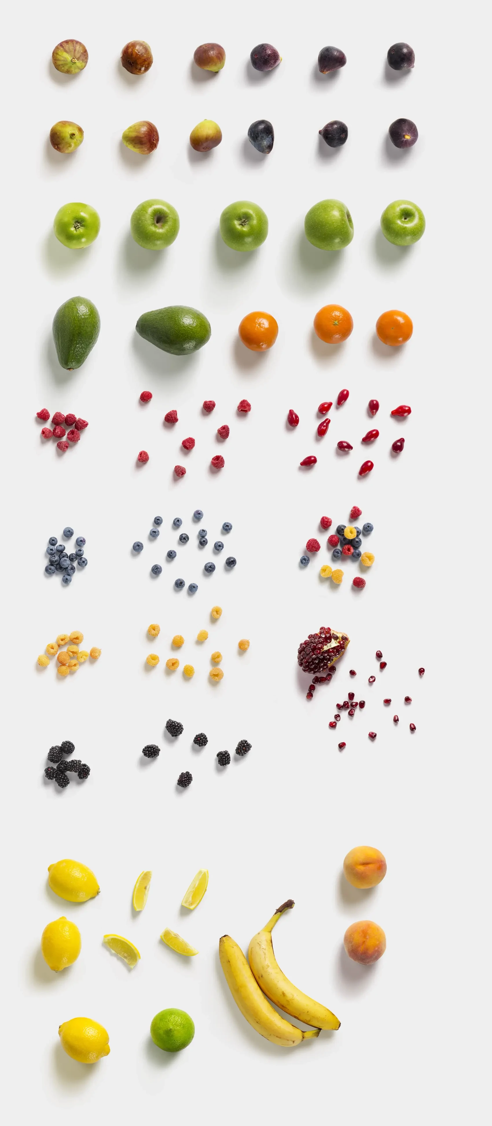 Fruits and Vegetables 13