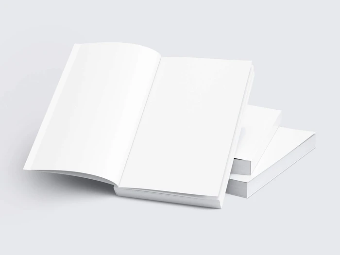 Book Mockup, EU-Angled, 12