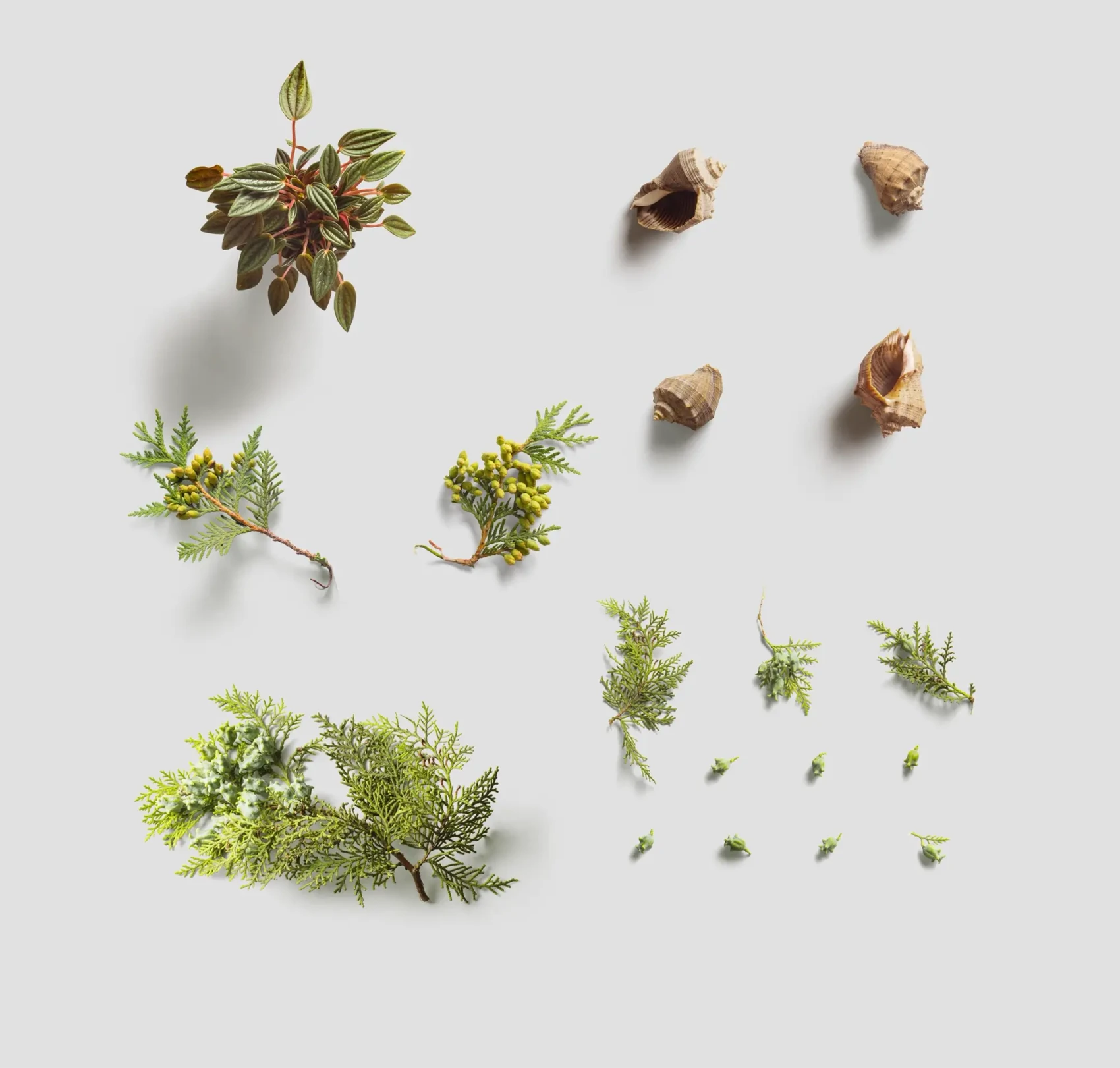 Environment Items 10