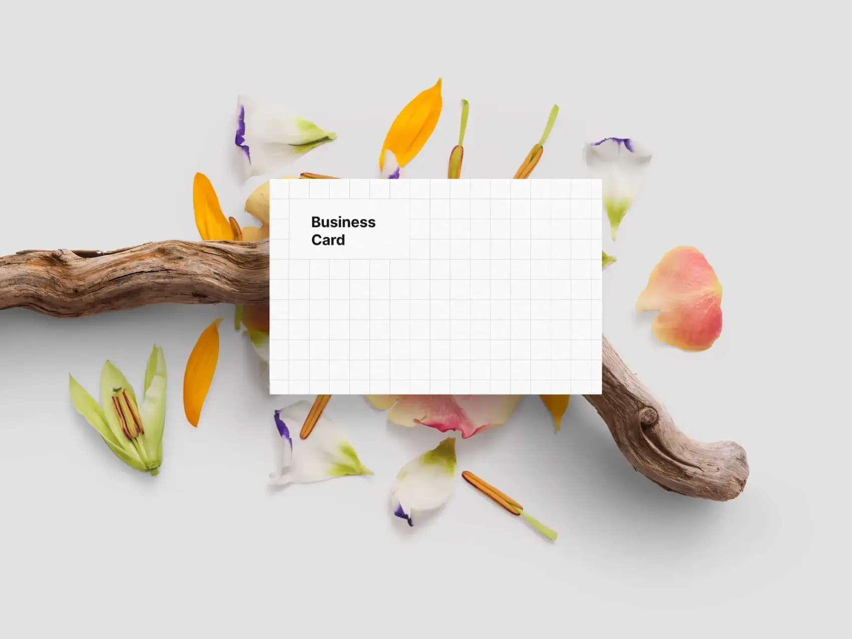 Business Card Mockups 48