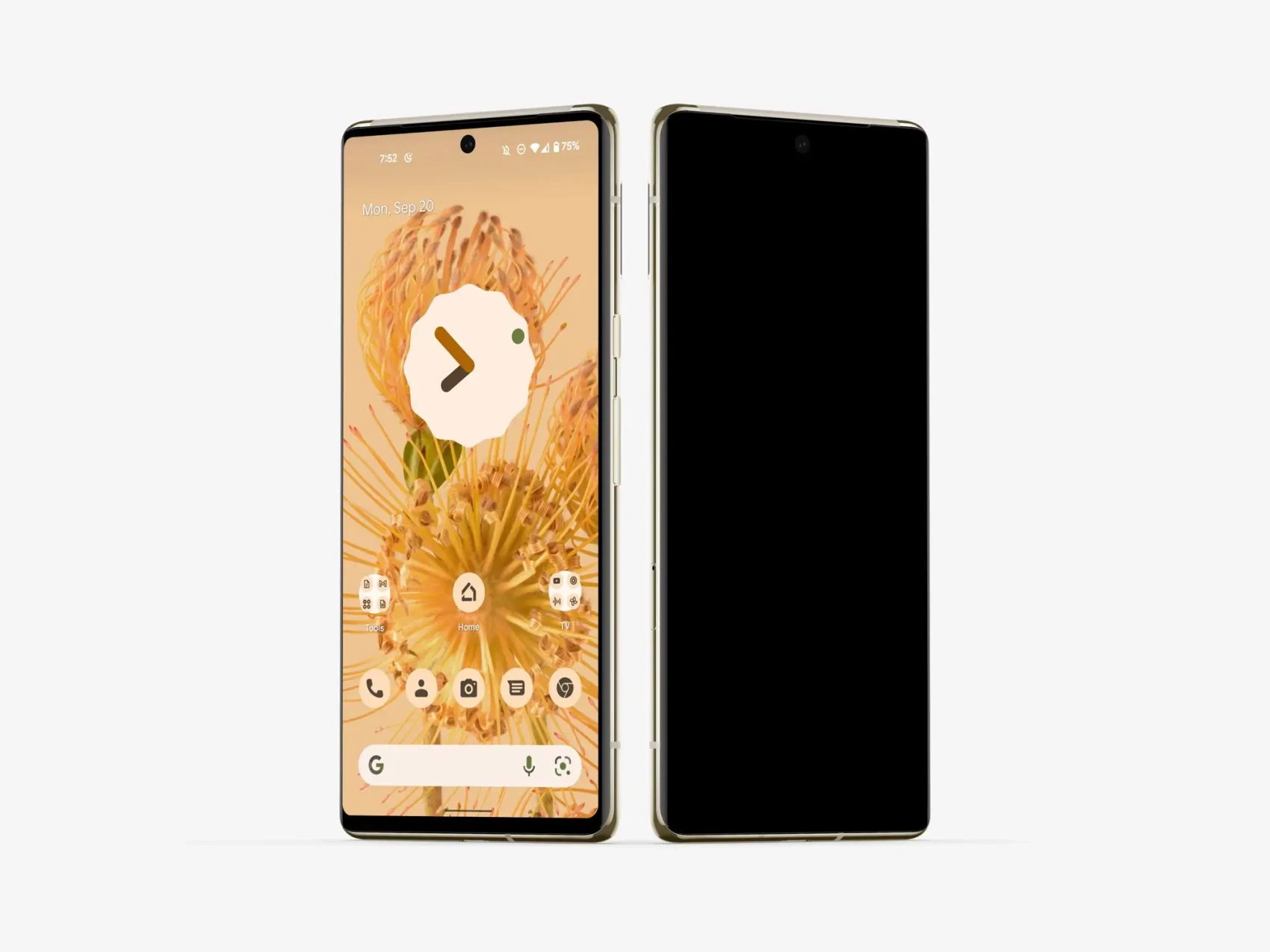 Google Pixel 6 Pro Mockups 39