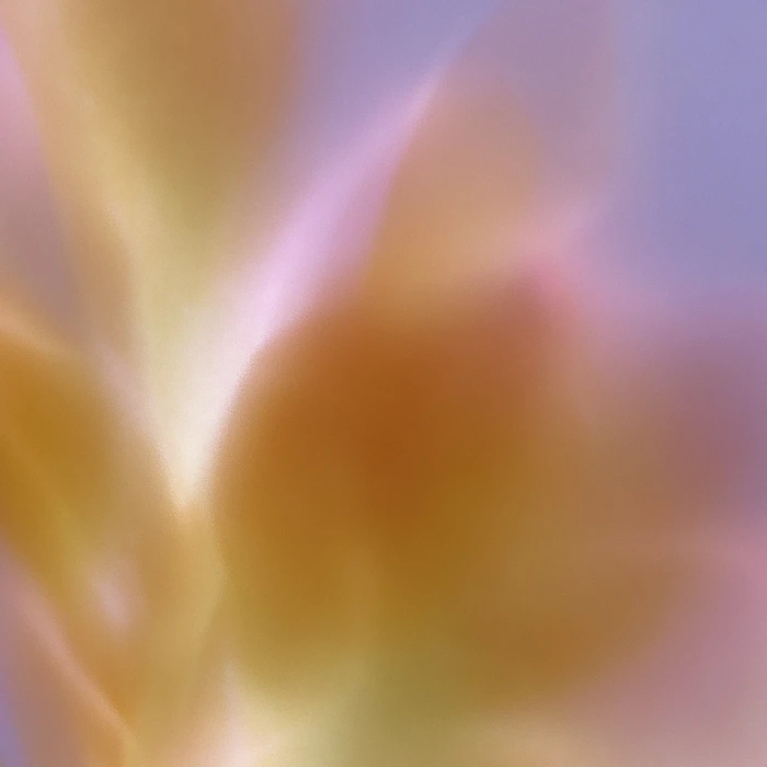 Grainy Blur Abstraction, 14