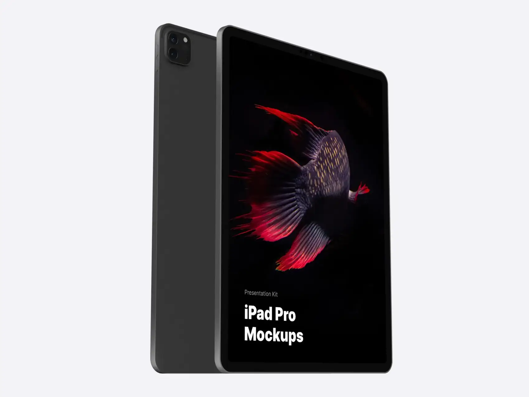 iPad Pro Mockups (2020) 7