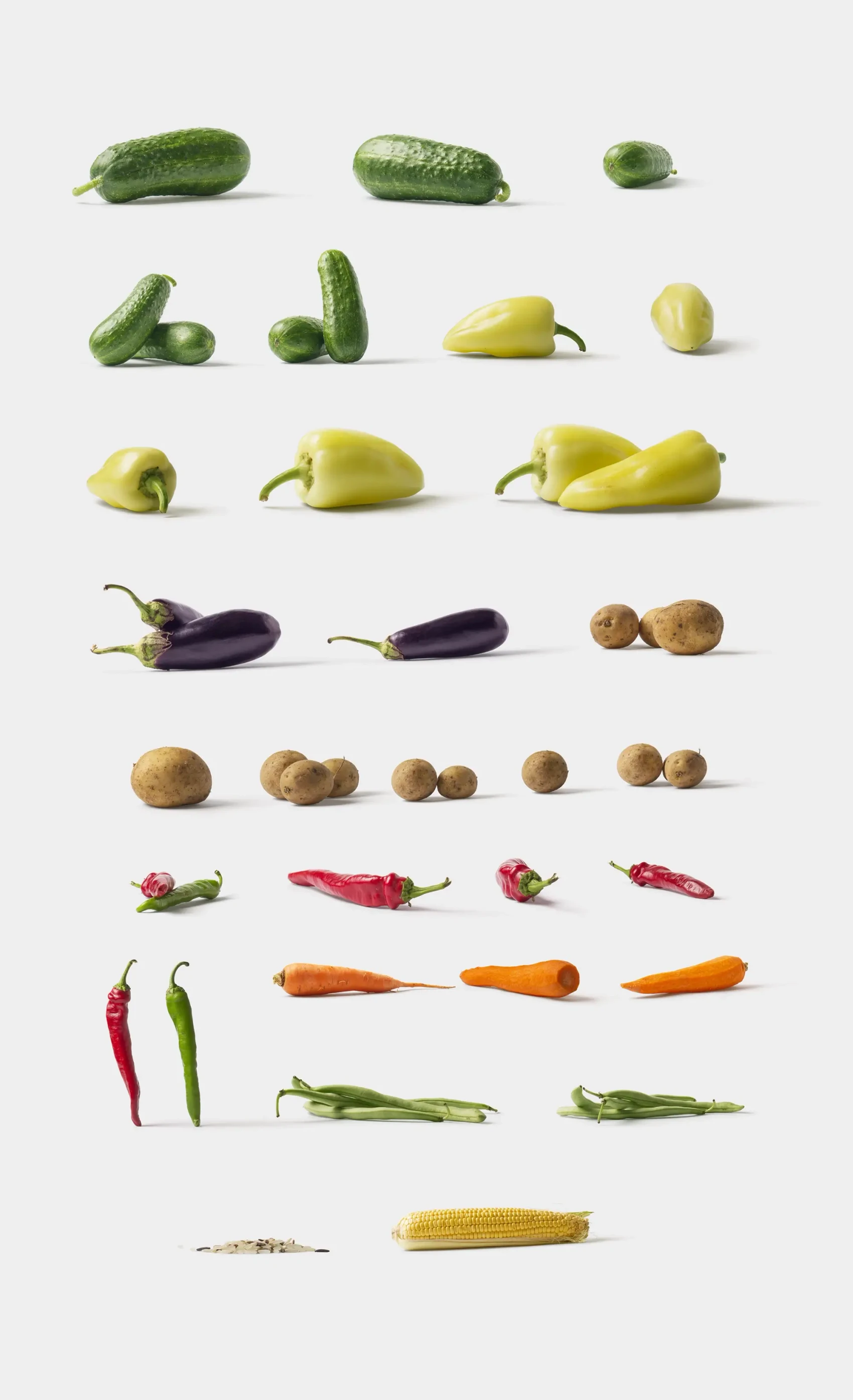 Fruits and Vegetables 2
