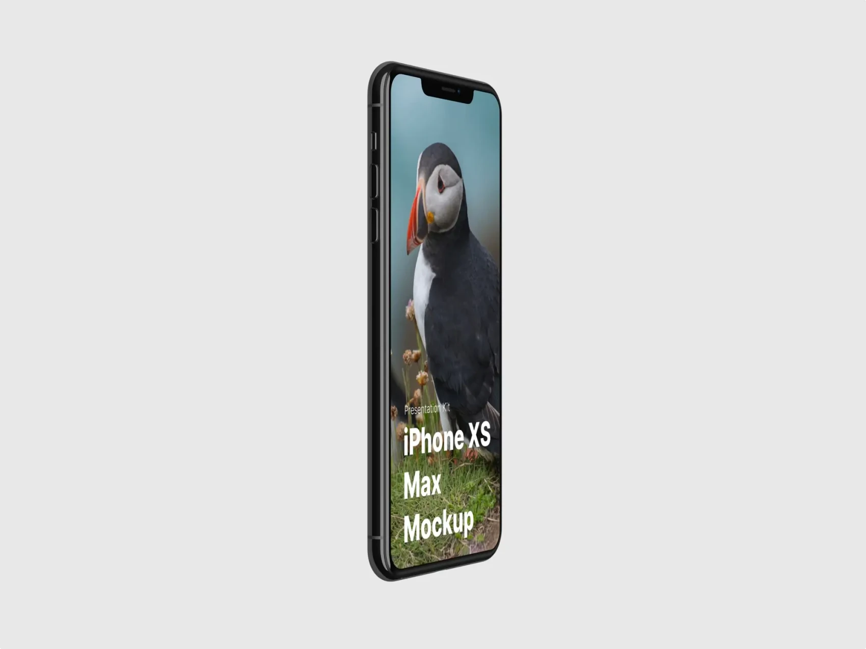 iPhone XS Max Mockups 5