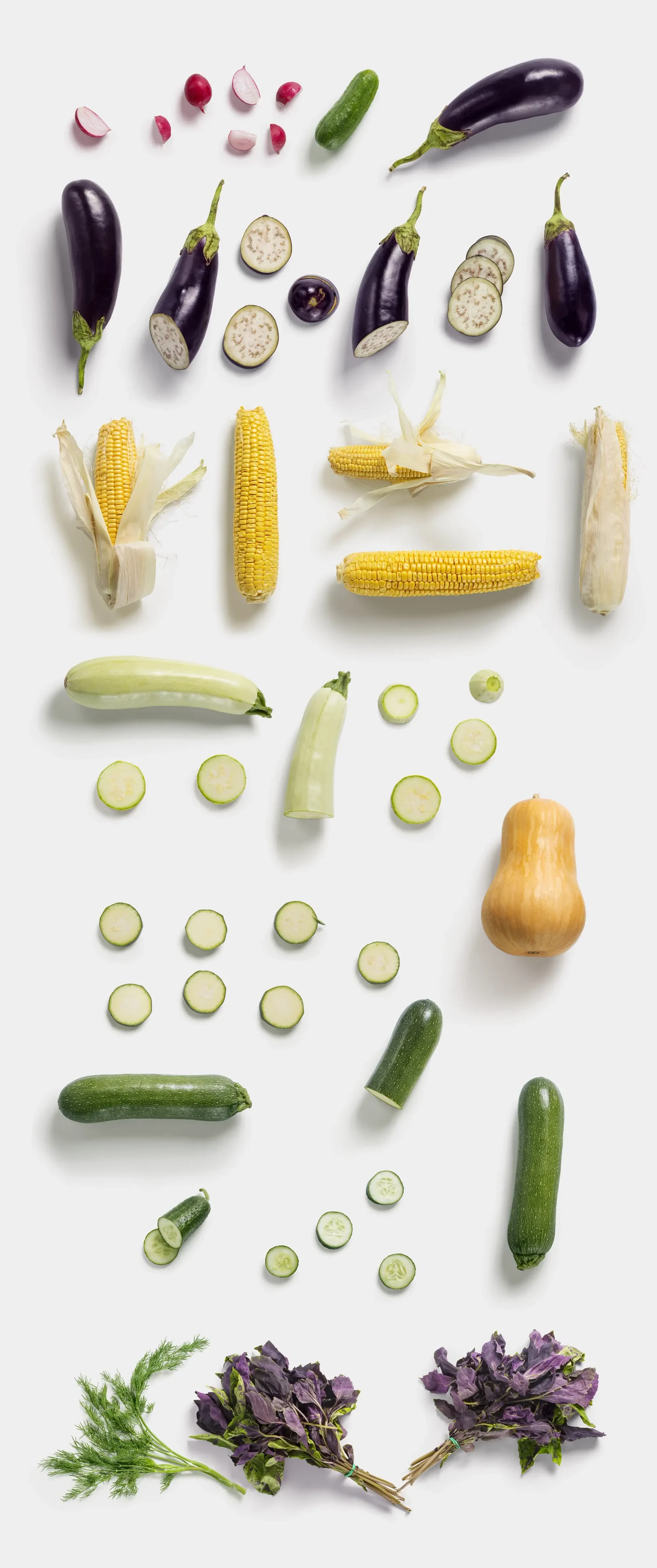 Fruits and Vegetables 12