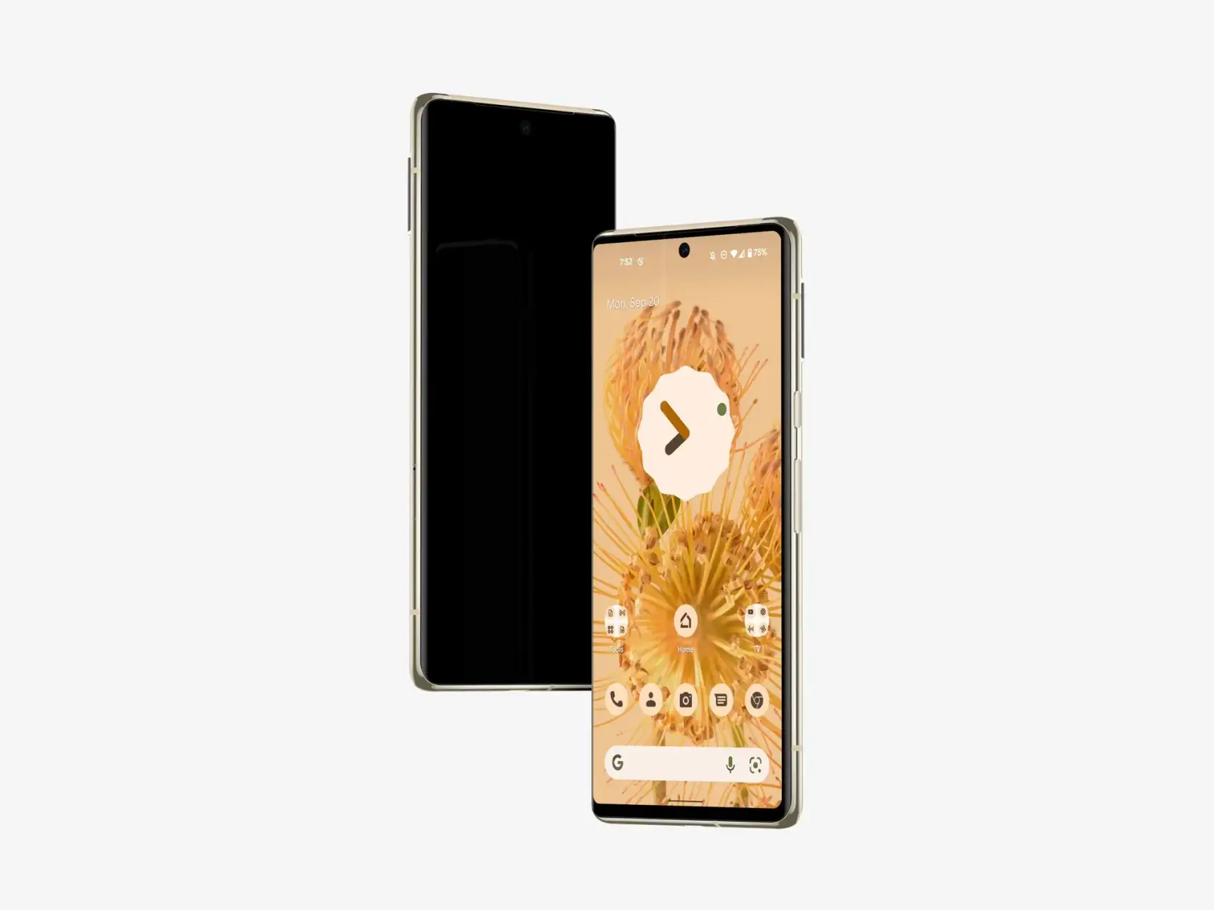 Google Pixel 6 Pro Mockups 41