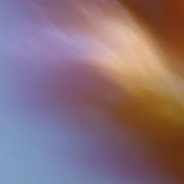 Grainy Blur Abstraction, 23