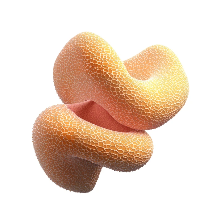 Futeral Abstraction, 28