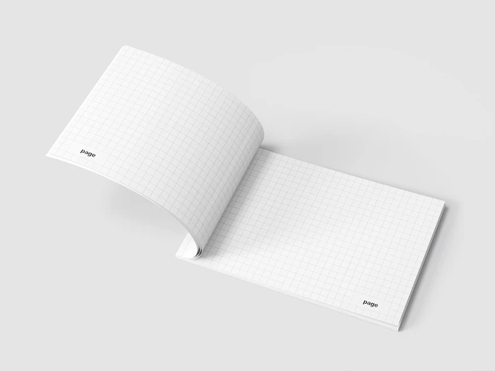 Magazine Mockup, EU Landscape, 07