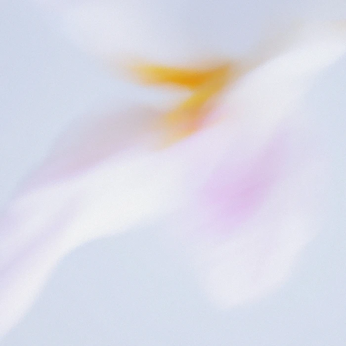 Grainy Blur Abstraction, 1