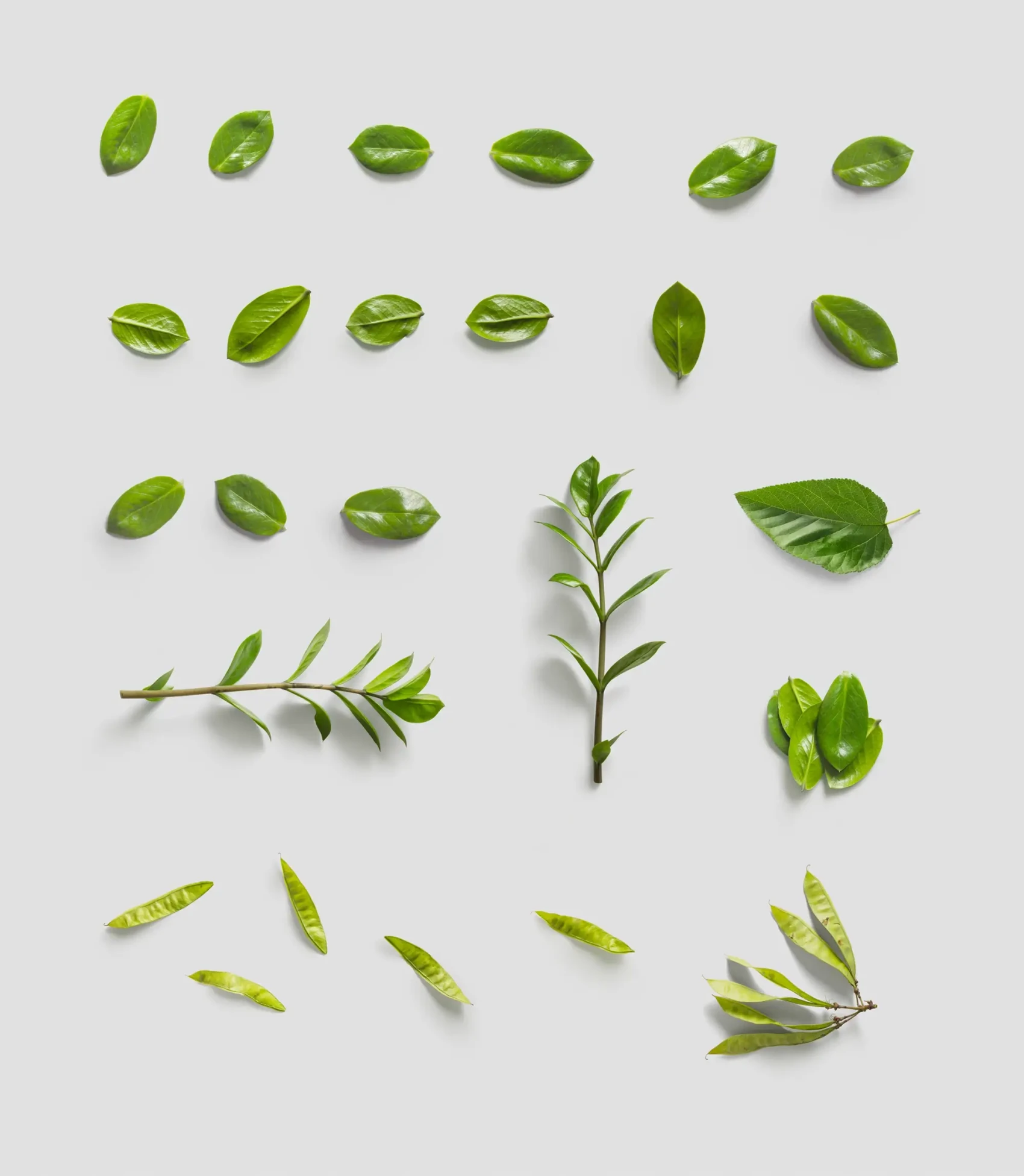 Environment Items 9