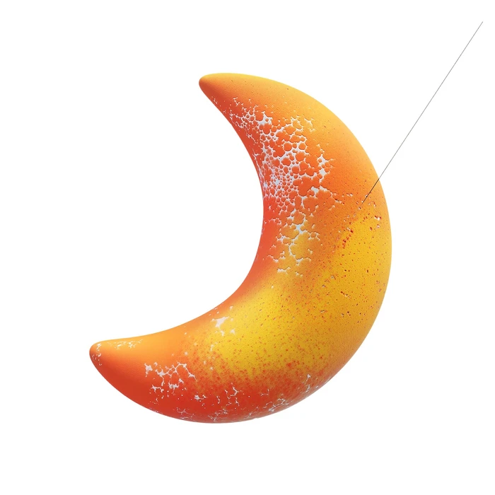 Futeral Abstraction, 41