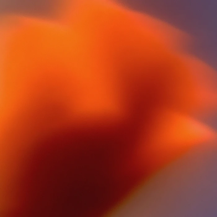 Grainy Blur Abstraction, 42