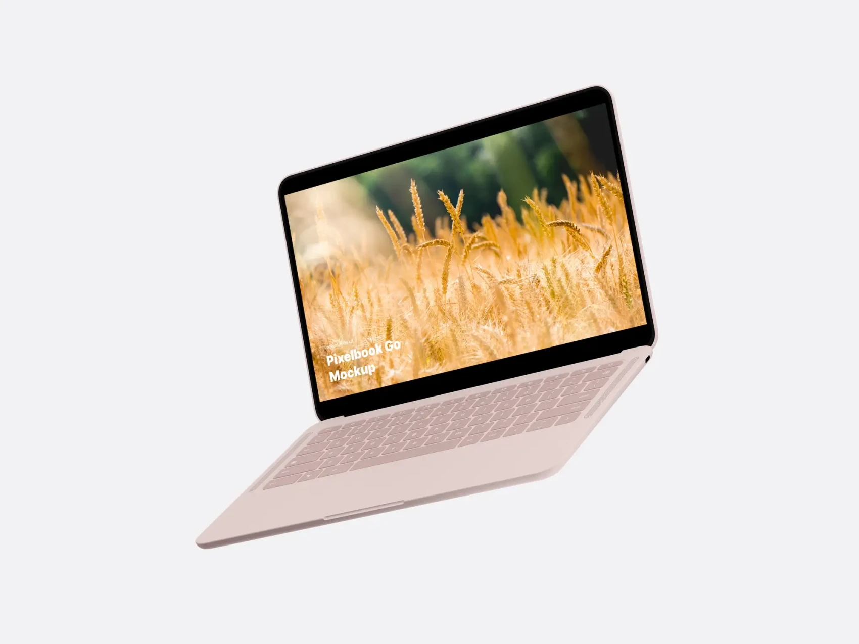 Google PixelBook Go Mockups 19