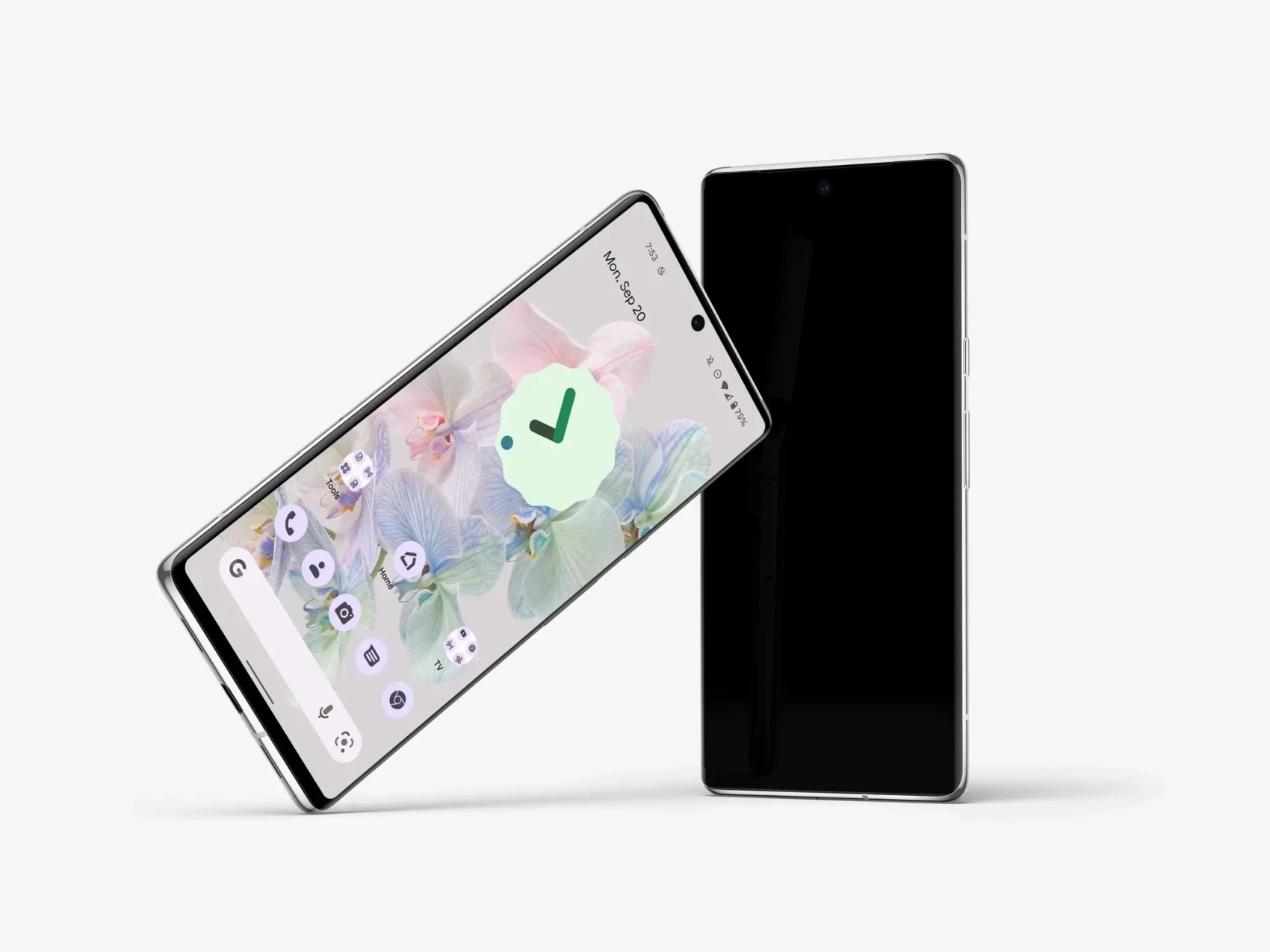 Google Pixel 6 Pro Mockups 8