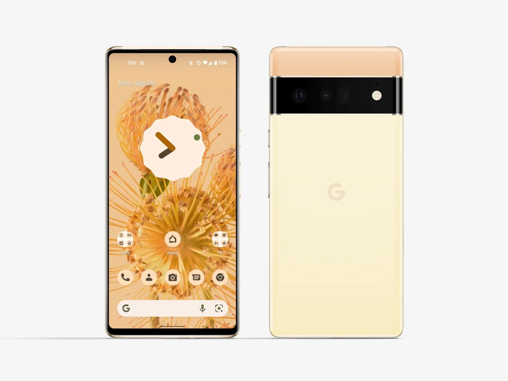 Google Pixel 6 Pro Mockups 54