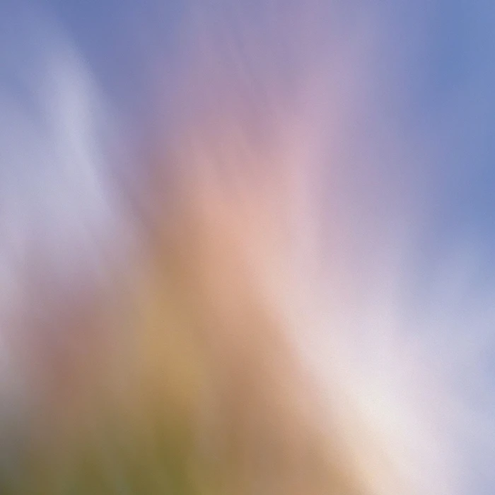 Grainy Blur Abstraction, 26