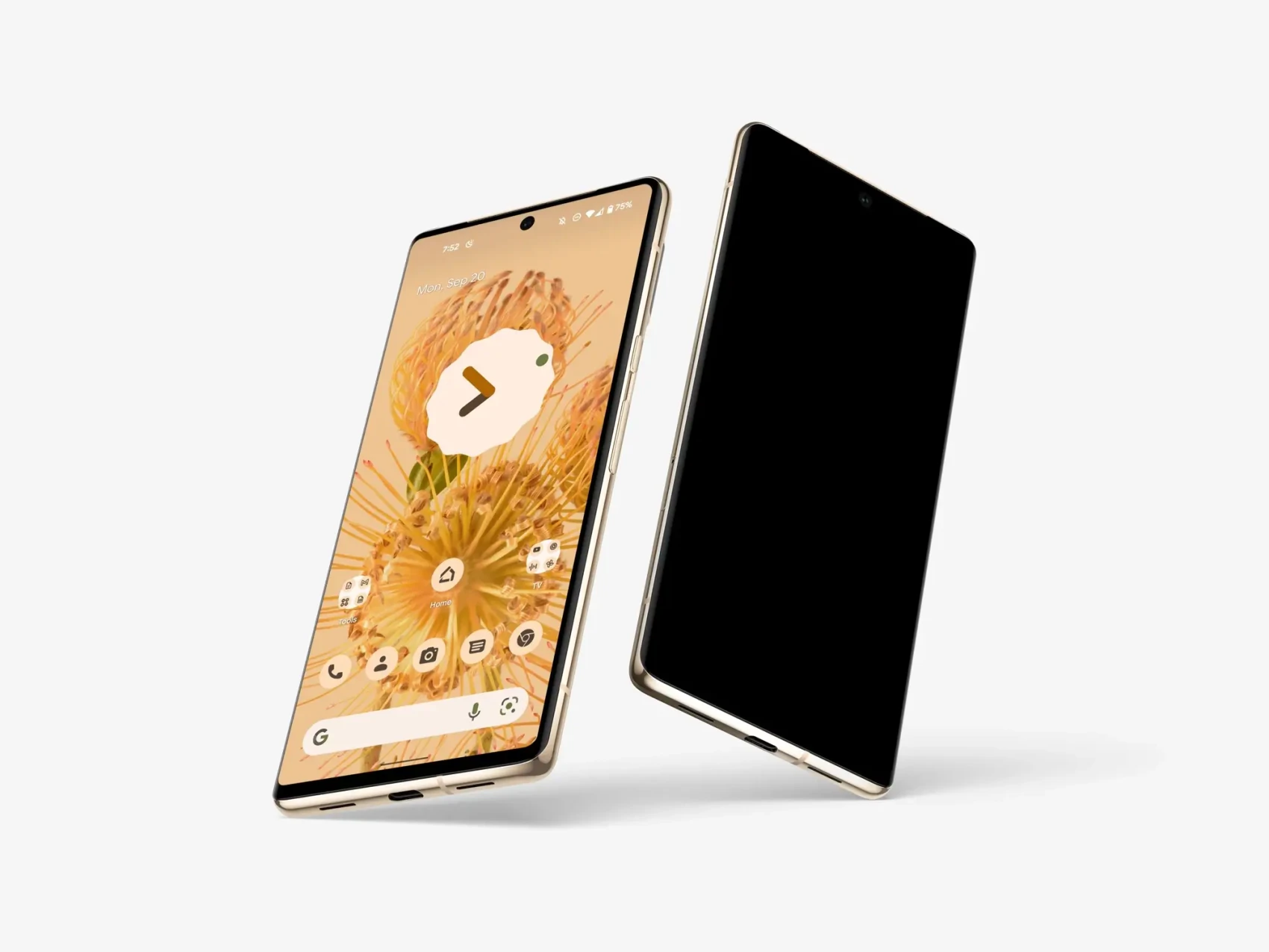 Google Pixel 6 Pro Mockups 42