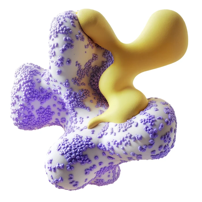 Futeral Abstraction, 52